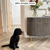 Lime Washed Oak KP99 floors in a kitchen with a black dog; photo credit: @the_douglas_home